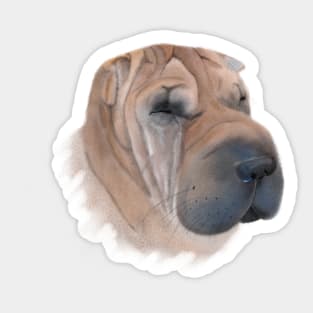 Dog Sticker